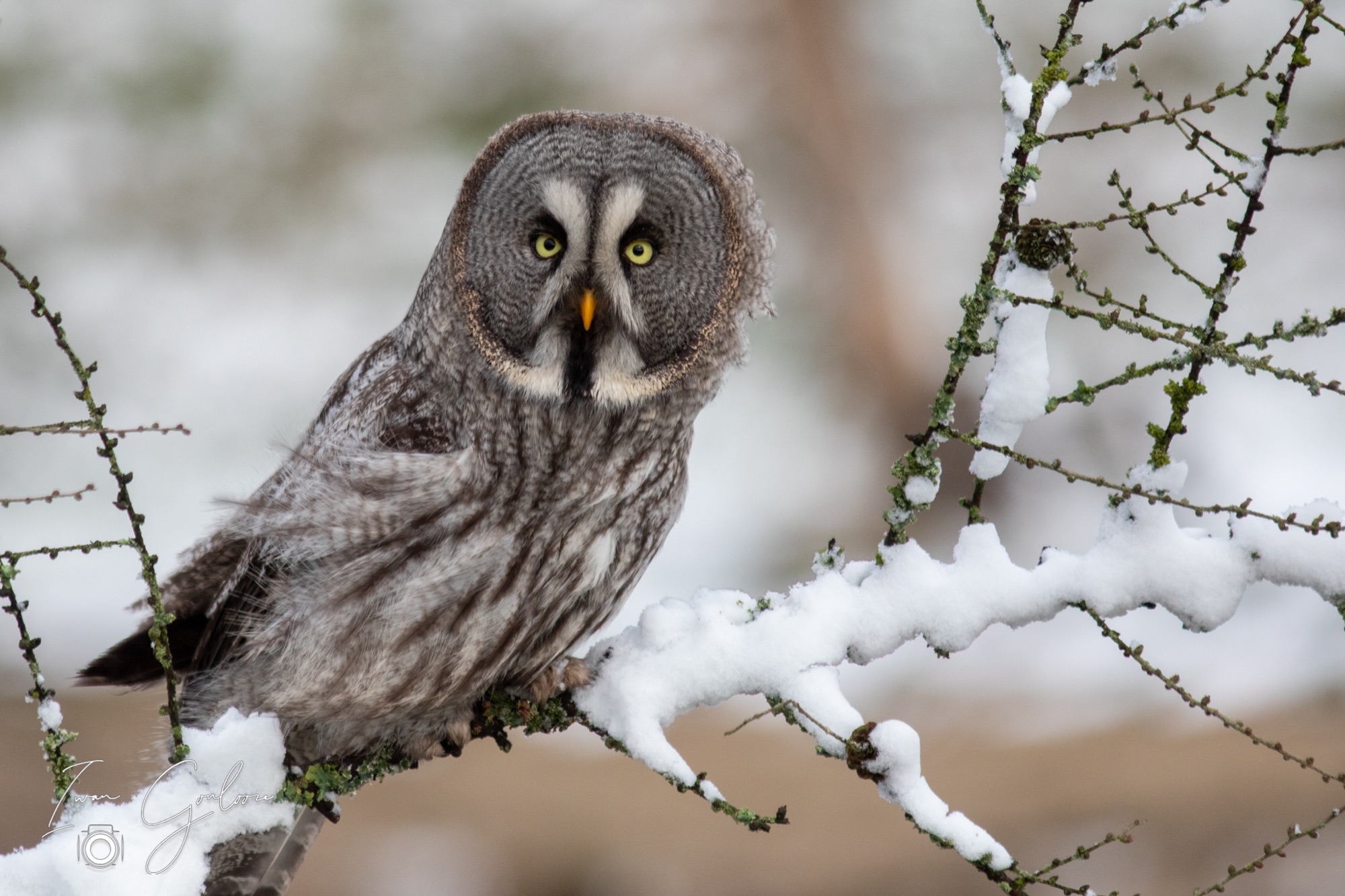 01 april 2022 104950  5D45460